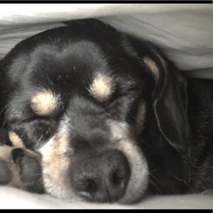 Don’t sleep on these deals!